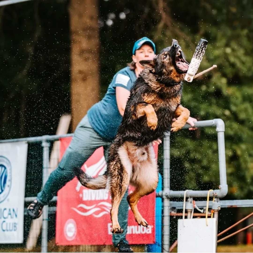 Amber-Brandt,-RVT Amber Brandt, RVT