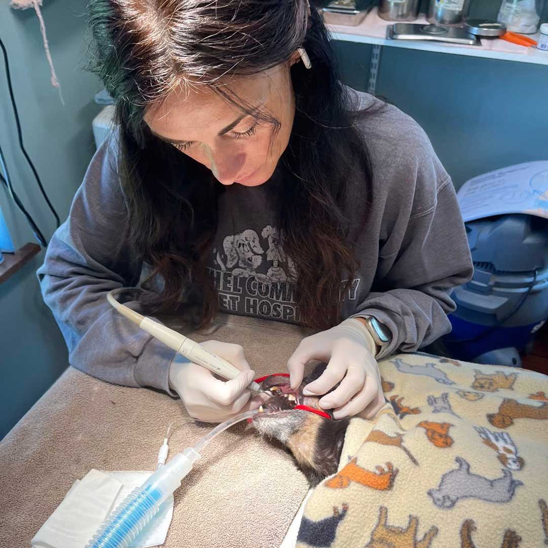 Jenn doing a dental.
