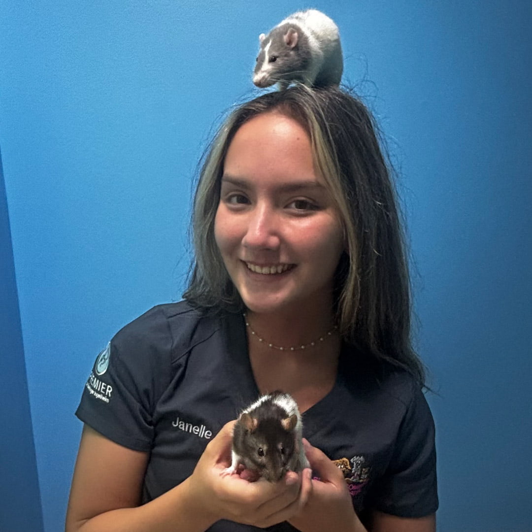 Janelle-Donahue Janelle Donahue